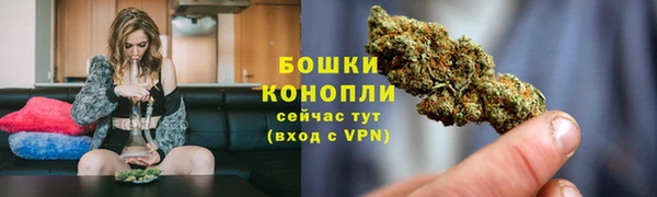 тгк Белокуриха