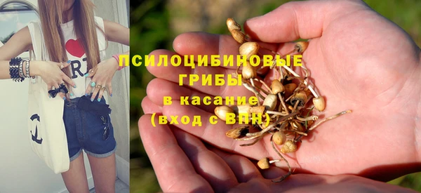 тгк Белокуриха